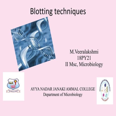 Blotting southern,northern, western techniques