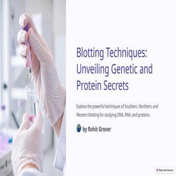 Western and Southern blotting  Easy Language Biotechnology 6th Sem