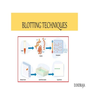 Blotting techniques