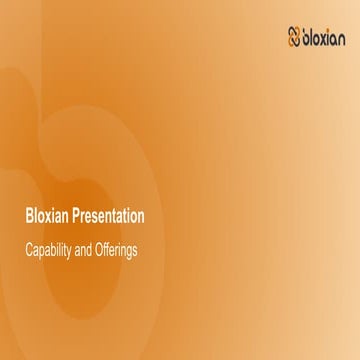 Bloxian Technology Capabilities and Offferings