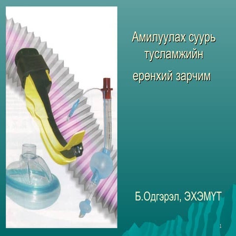 Амилуулах суурь тусламжийн ерөнхий зарчим | PPT