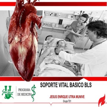 BLS Soporte Vital Basico