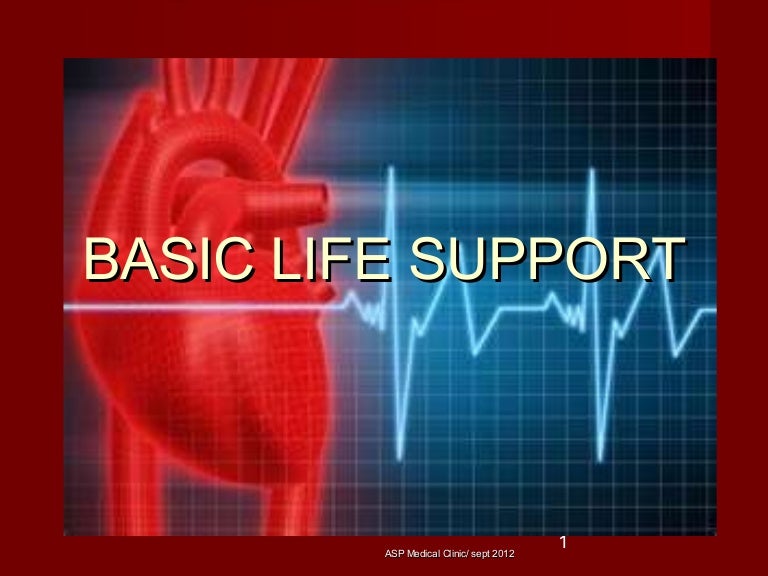 basic life support 2013