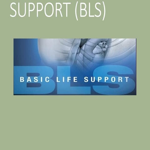 Importance Of Basic Life Support Cpr Pptx