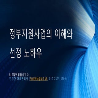 [BLT토크콘서트] 정부지원사업의 이해와 노하우 공유 2017....