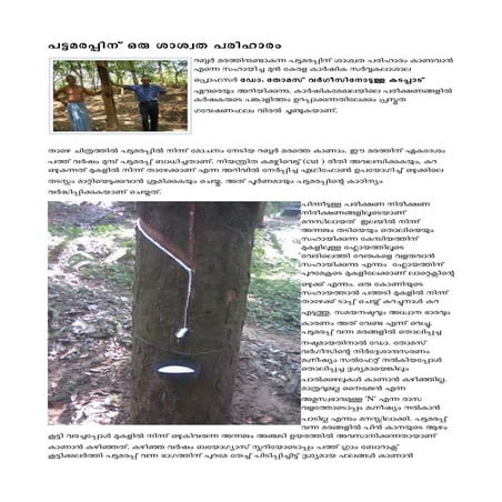 Remedy for Brown bast