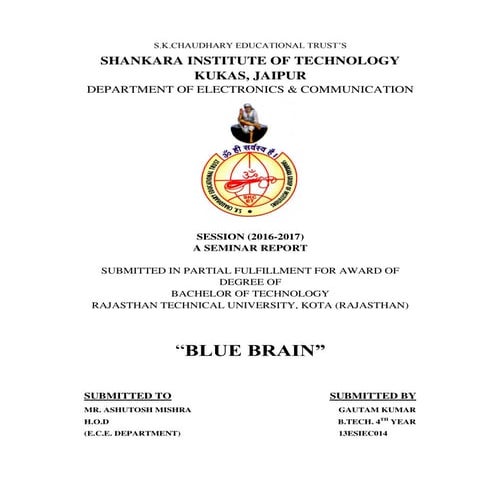 BLUE BRAIN SEMINAR REPORT