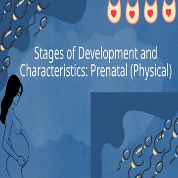 Prenatal-Stages-of-Development_life.pptx