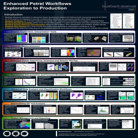 Examples of how Blueback tools can expand and enhance your Petrel workflow