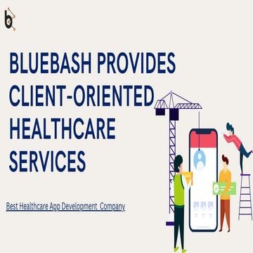 Bluebash provides client-oriented healthcare services 