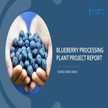 Detailed Project Report on Setting up a Blueberry Processing Plant
