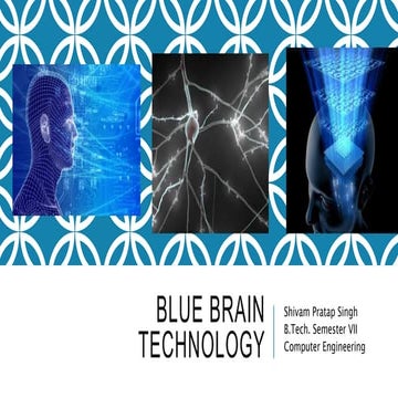 Blue brain