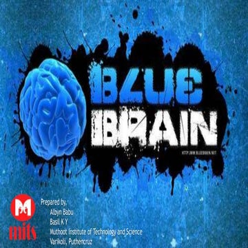 Blue Brain