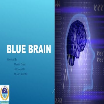 Blue brain
