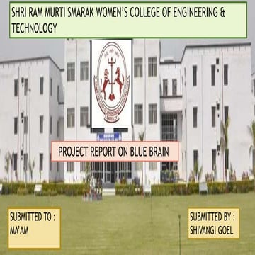Blue brain