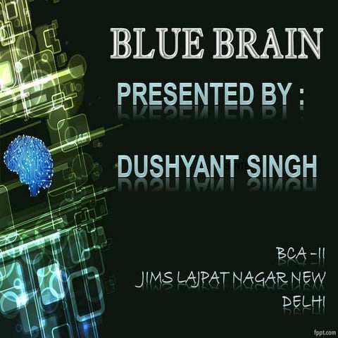 Blue Brain Project 