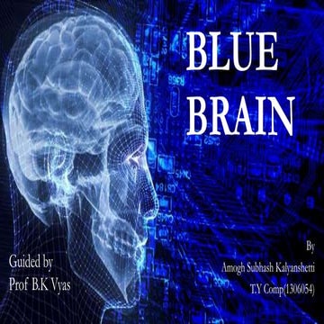 Blue Brain 