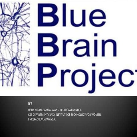 Blue brain project