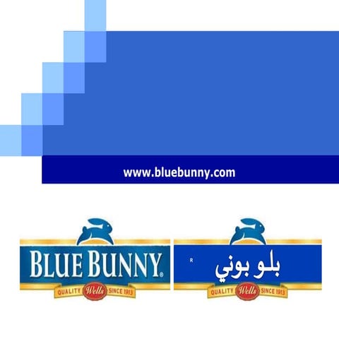 International Business Management ppt | PPTX