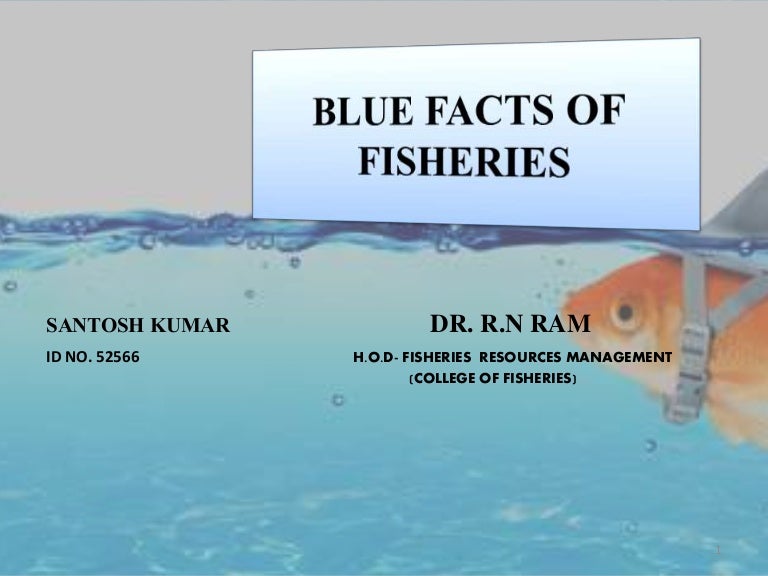 Blue facts of fisheries