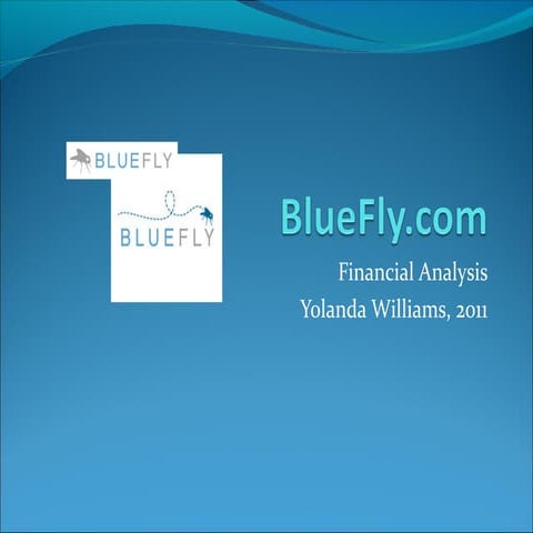 BlueFly.com Financial Analysis 2007-2010 - Yolanda Williams