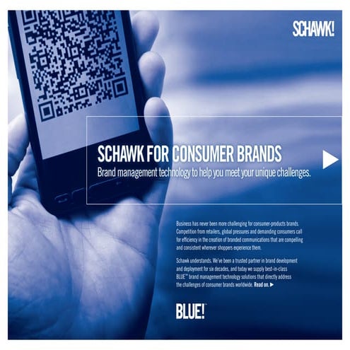 Schawk, BLUE for consumer brands