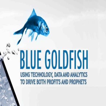 Blue Goldfish - Using Technology, Data and Analytics to Drive Both Profits an...