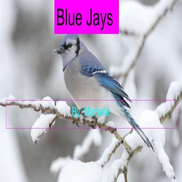 Blue Jays | PPT