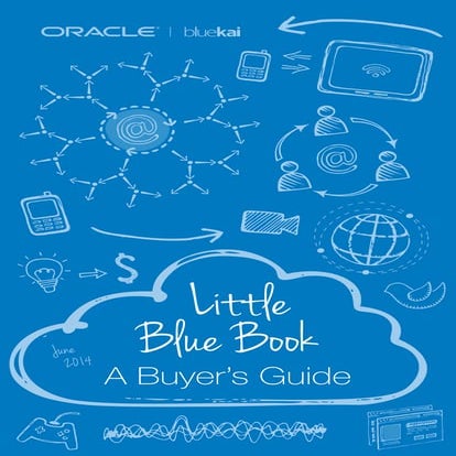 Bluekai Little Blue Book