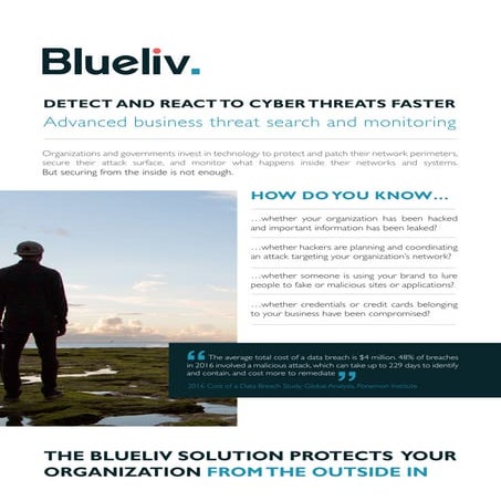 Blueliv Corporate Brochure 2017 PDF