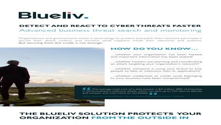 Blueliv Corporate Brochure 2017