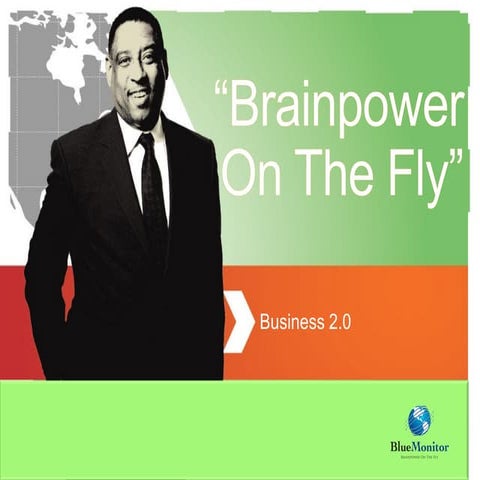 Blue Monitor Systems Software Development Services