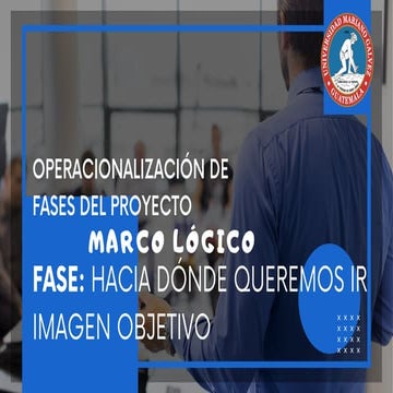 OPERACIONALIZACIÓN DE FASES DE PROYECTO PDF