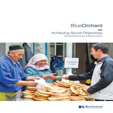 BlueOrchard Finance SA - Social Performance Report 2013