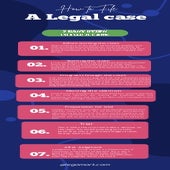 The Process of Filing a Case in the High Court_ A Step-by-Step Guide.docx
