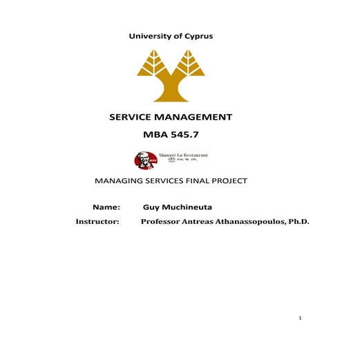 Service Blueprint for a Business