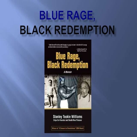 Blue rage, black redemption powerpoint | PPTX