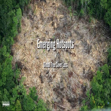 Blue Raster Presents on Emerging Hotspots of Global Tree Cover Loss