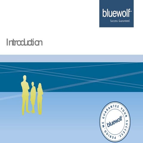 Bluewolf Quick Rr Introduction Aug 08