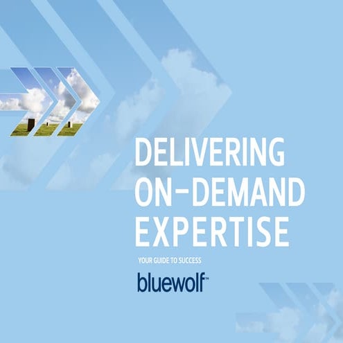 Get to know Bluewolf 
