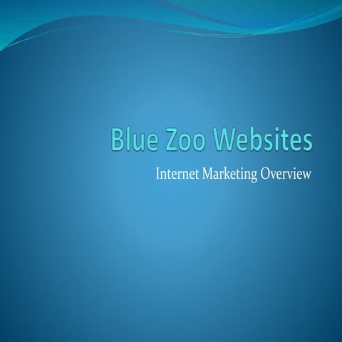 Blue Zoo Websites Internet Marketing Overview
