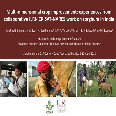 Multi-dimensional crop improvement: Experiences from collaborative ILRI-ICRIS...