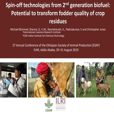 Spin-off technologies from 2nd generation biofuel: Potential to transform fod...