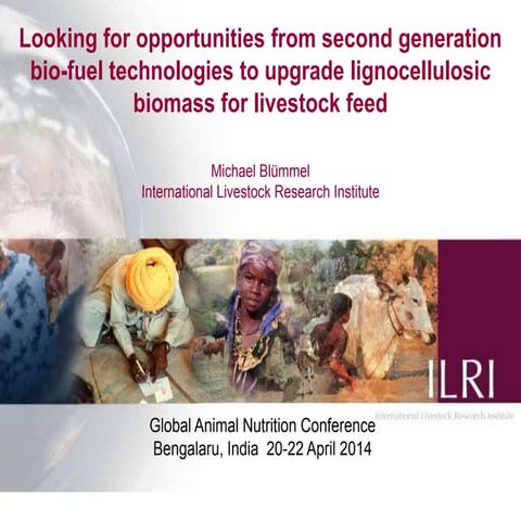Looking for opportunities from second generation bio-fuel technologies to upg...