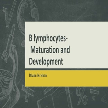 B lymphocytes, Receptors, Maturation and Activation
