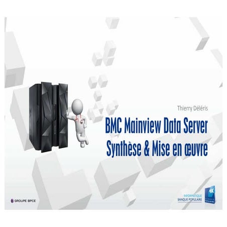 BMC Mainview Data Server - Synthese et Mise en oeuvre | PDF