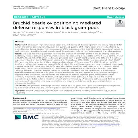 Bruchid beetle ovipositioning mediated defense responses in black gram pods