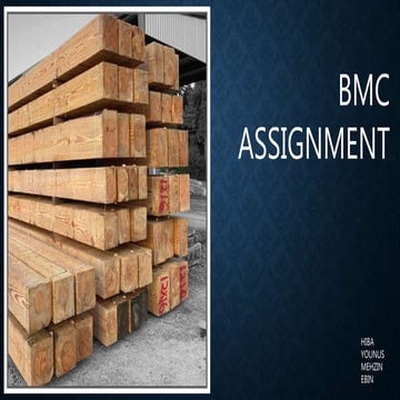 BMC presentation.pptx