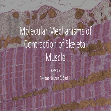 Molecualr mechanism of Skeletal Muscle Contraction | PDF