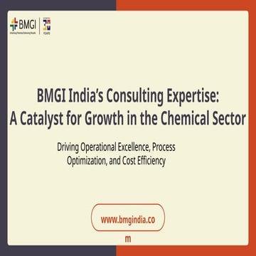 BMGI Lean Six Sigma_ Excellence in Process Optimization.pdf